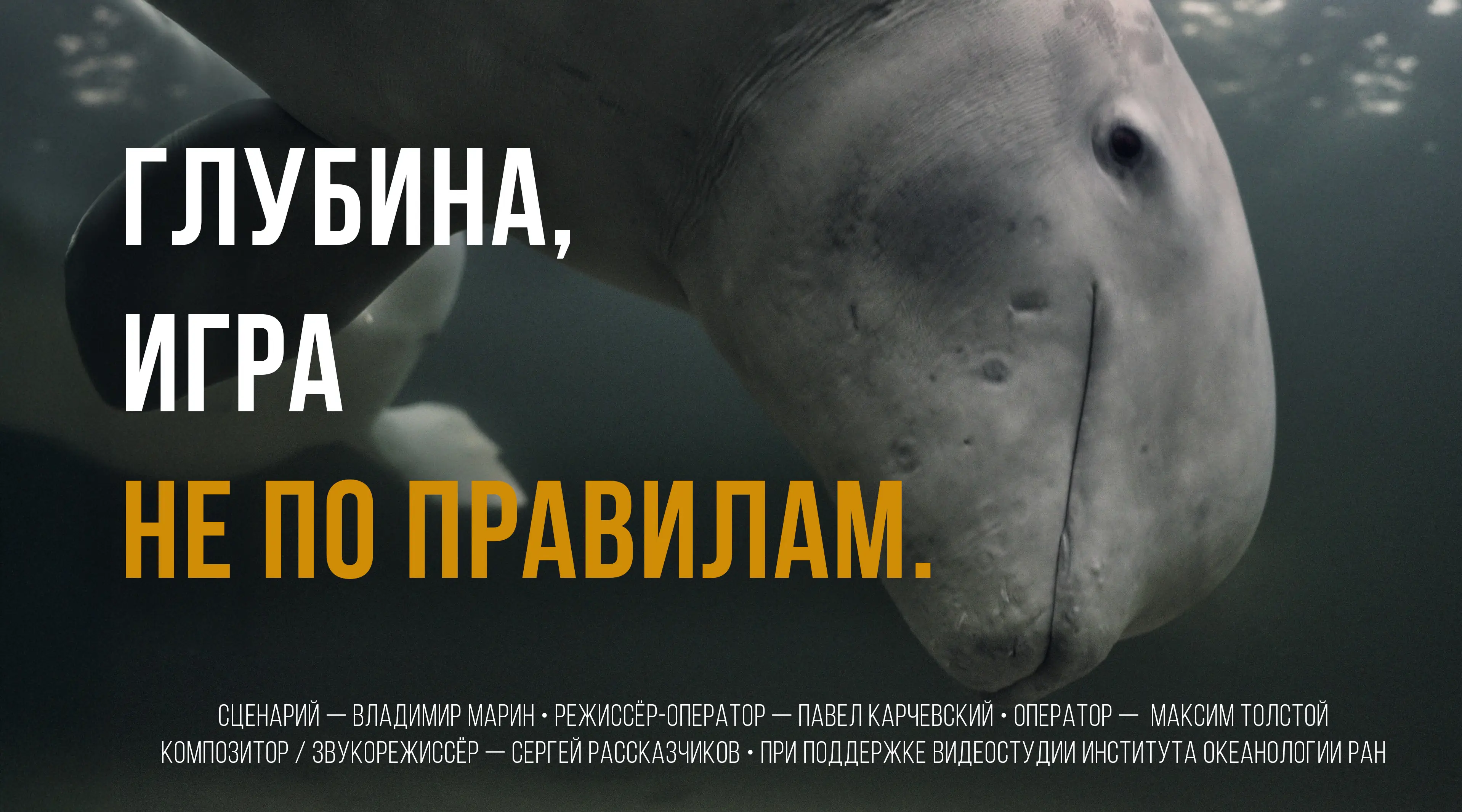 Глубина - Игра не по правилам